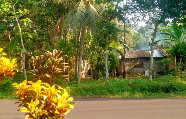 Kesegaran Udara Pagi: Manfaat Besar untuk Kesehatan yang Sering Terlewatkan