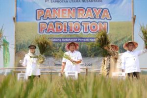 Pacu Produktivitas Panen, Pemprov Jateng Dukung Lomba Panen Padi 10 Ton per Hektare