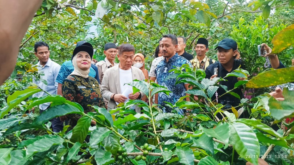 Bupati Ajak Wali Kota Sue Machi Tinjau Kebun Kopi di Sukorejo, Dorong Kerja Sama Ekspor Kopi Kendal ke Jepang