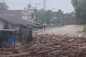 Sejatinya, Keserakahan Adalah Bencana Sejati (Sebuah Refleksi untuk Bencana Sumatera)