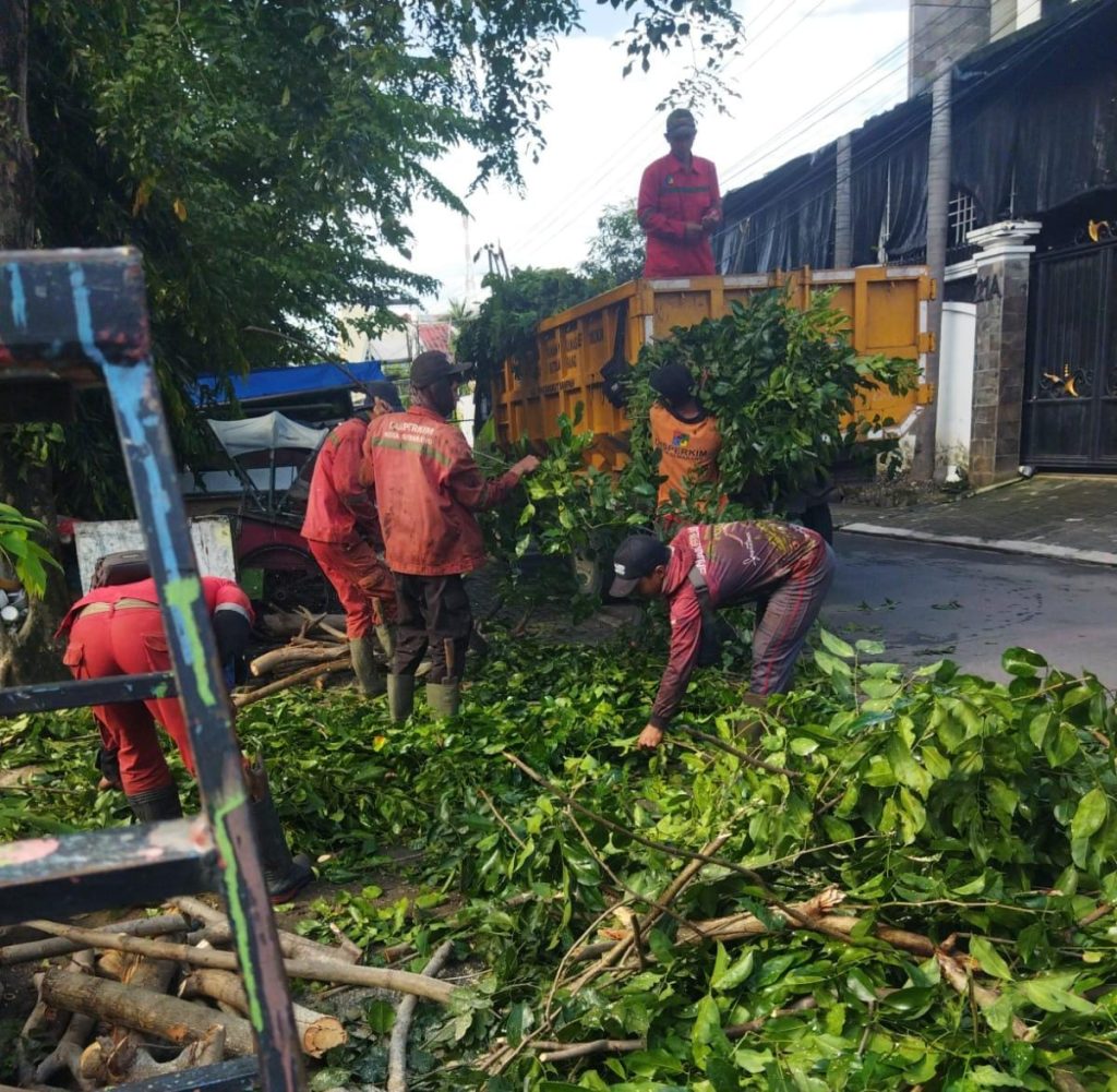 Wali Kota Semarang, Agustina Wilujeng Gerak Cepat  Menangani Pohon Tumbang Akibat Hujan Disertai Angin