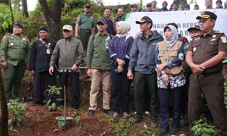 Perhutani KPH Kedu Utara Dorong Petani Sikunang Tanam Kopi