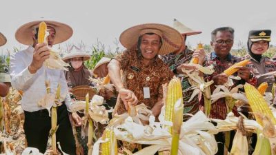 produksi jagung Jawa Tengah